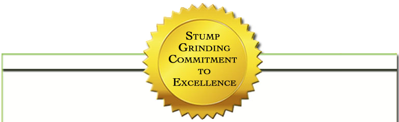 Commitment guarantee banner top