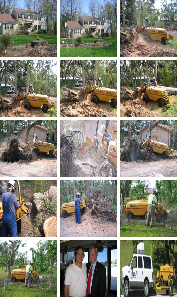 stump removal equipment